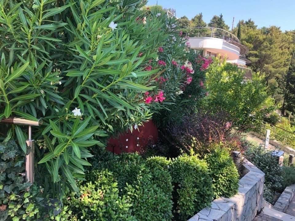 Dukley Luxury Apartment Budva